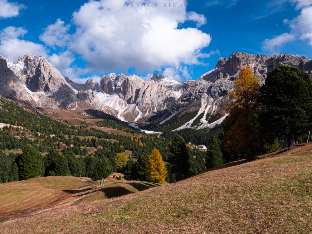 Dolomiten Seceda Tageslicht